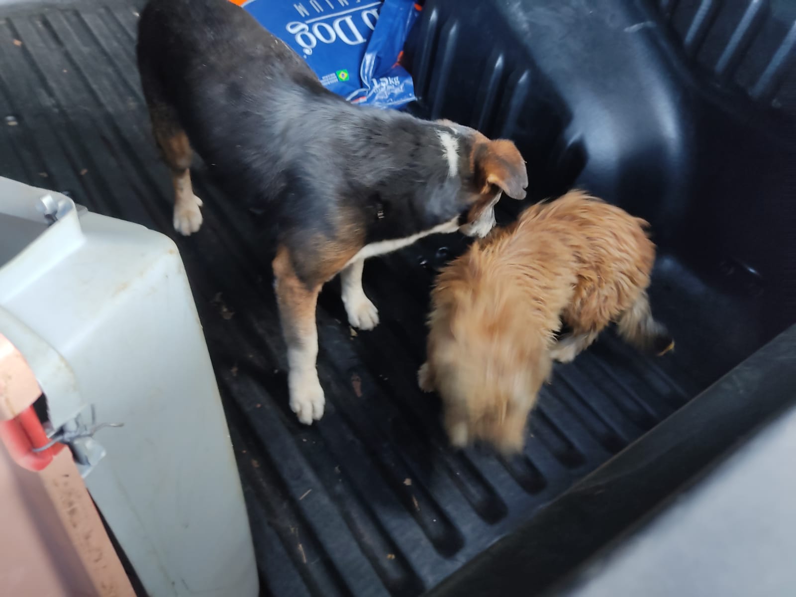 /21196WhatsApp Image 2022-04-26 at 15.32.05.jpeg